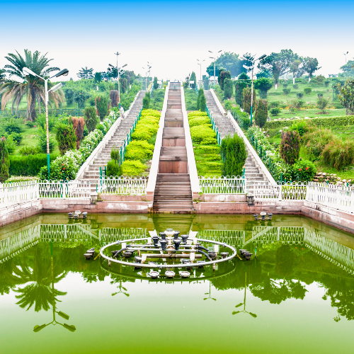 History of Gardening